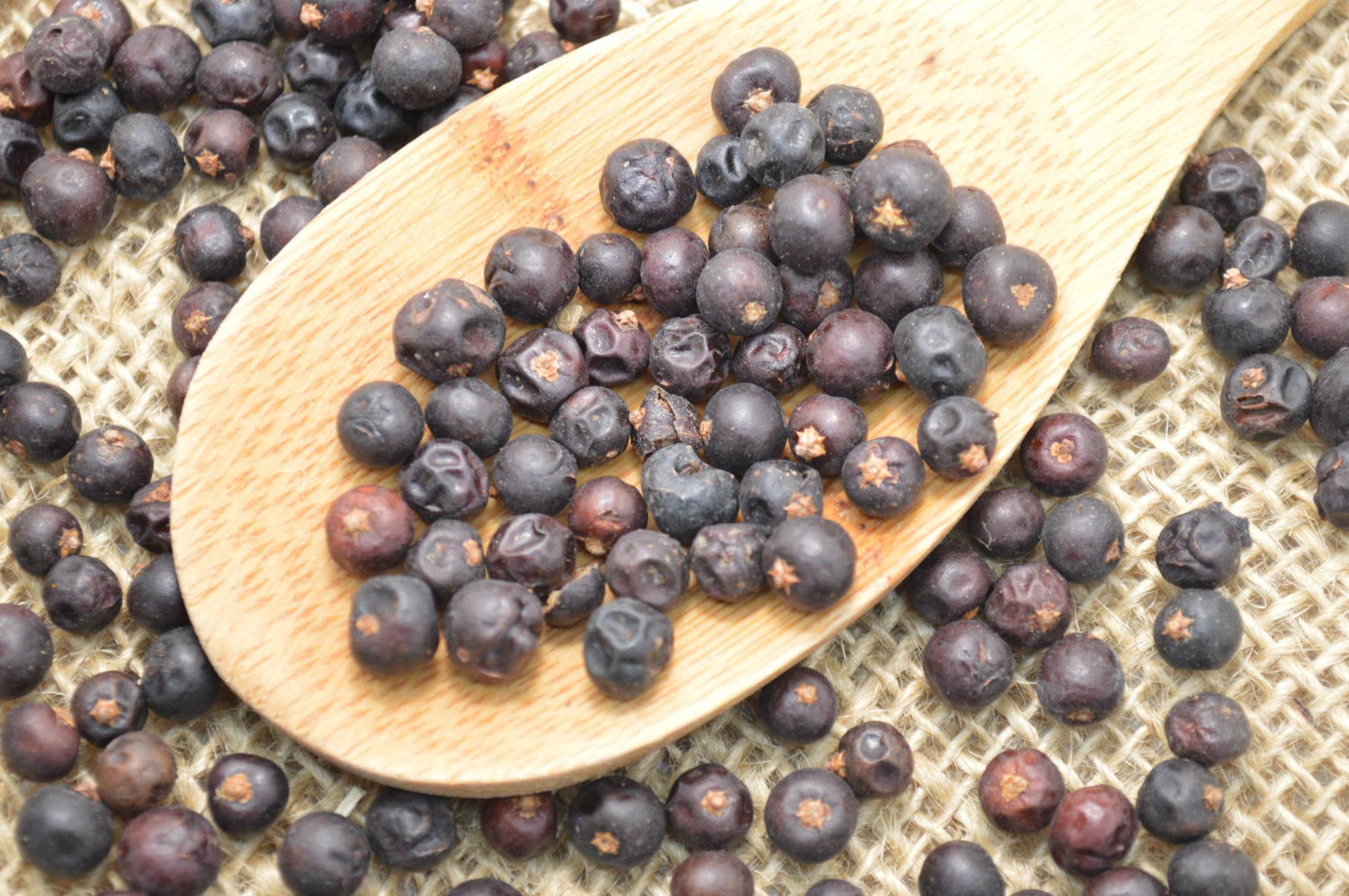 Abhal (Juniper Berry): An Ancient Ally for Your Health, the Ayurvedic Way