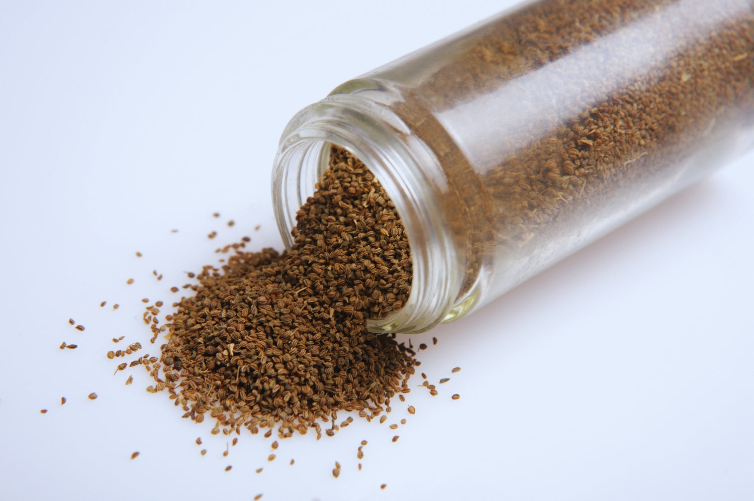 Ajmoda: Your Simple Guide to an Amazing Ayurvedic Herb