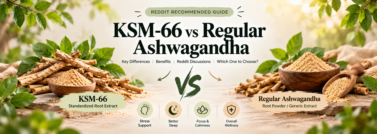 KSM-66 vs Regular Ashwagandha: Reddit Recommended Guide